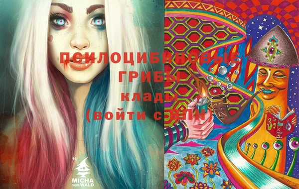 твердый Гусь-Хрустальный
